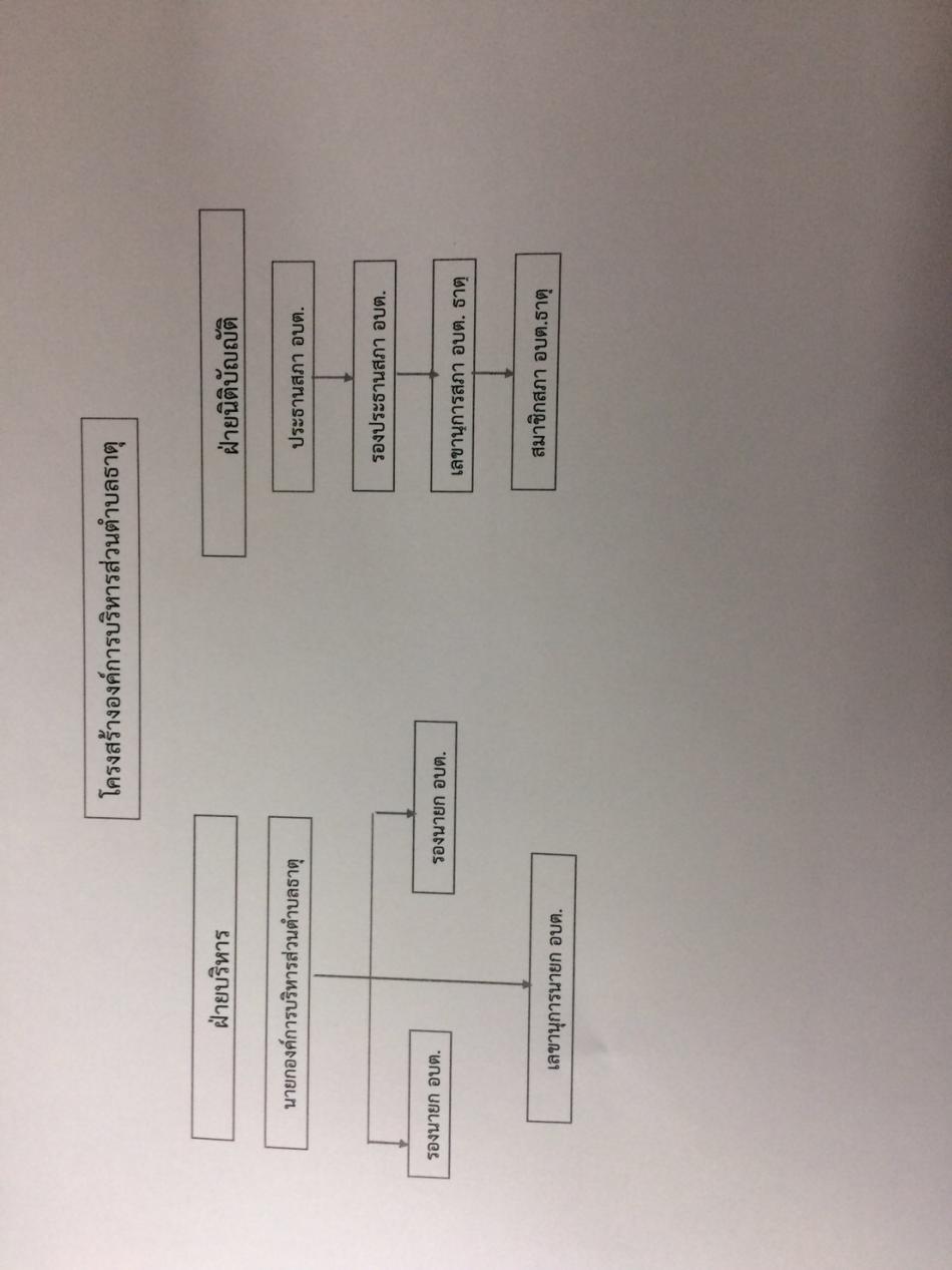 โครงสร้างฝ่ายบริหารและฝ่ายนิติบัญญัติ
